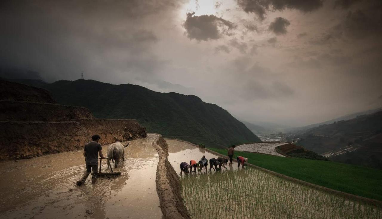 Tavan Dragon House Lao Cai Exterior photo